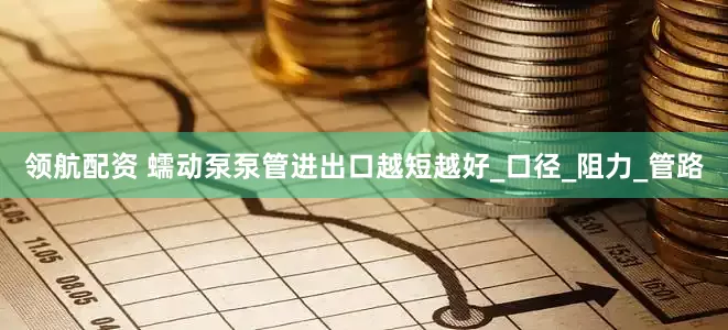领航配资 蠕动泵泵管进出口越短越好_口径_阻力_管路