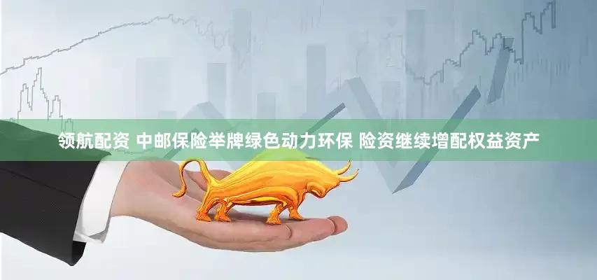 领航配资 中邮保险举牌绿色动力环保 险资继续增配权益资产