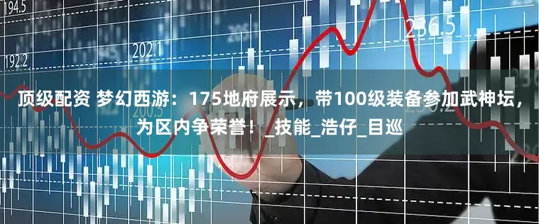 顶级配资 梦幻西游：175地府展示，带100级装备参加武神坛，为区内争荣誉！_技能_浩仔_目巡