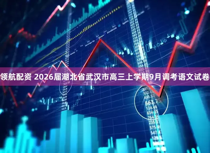 领航配资 2026届湖北省武汉市高三上学期9月调考语文试卷